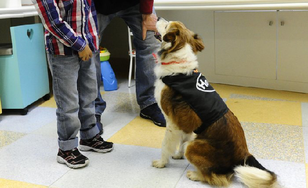 /21634Novo Projeto (8).jpg